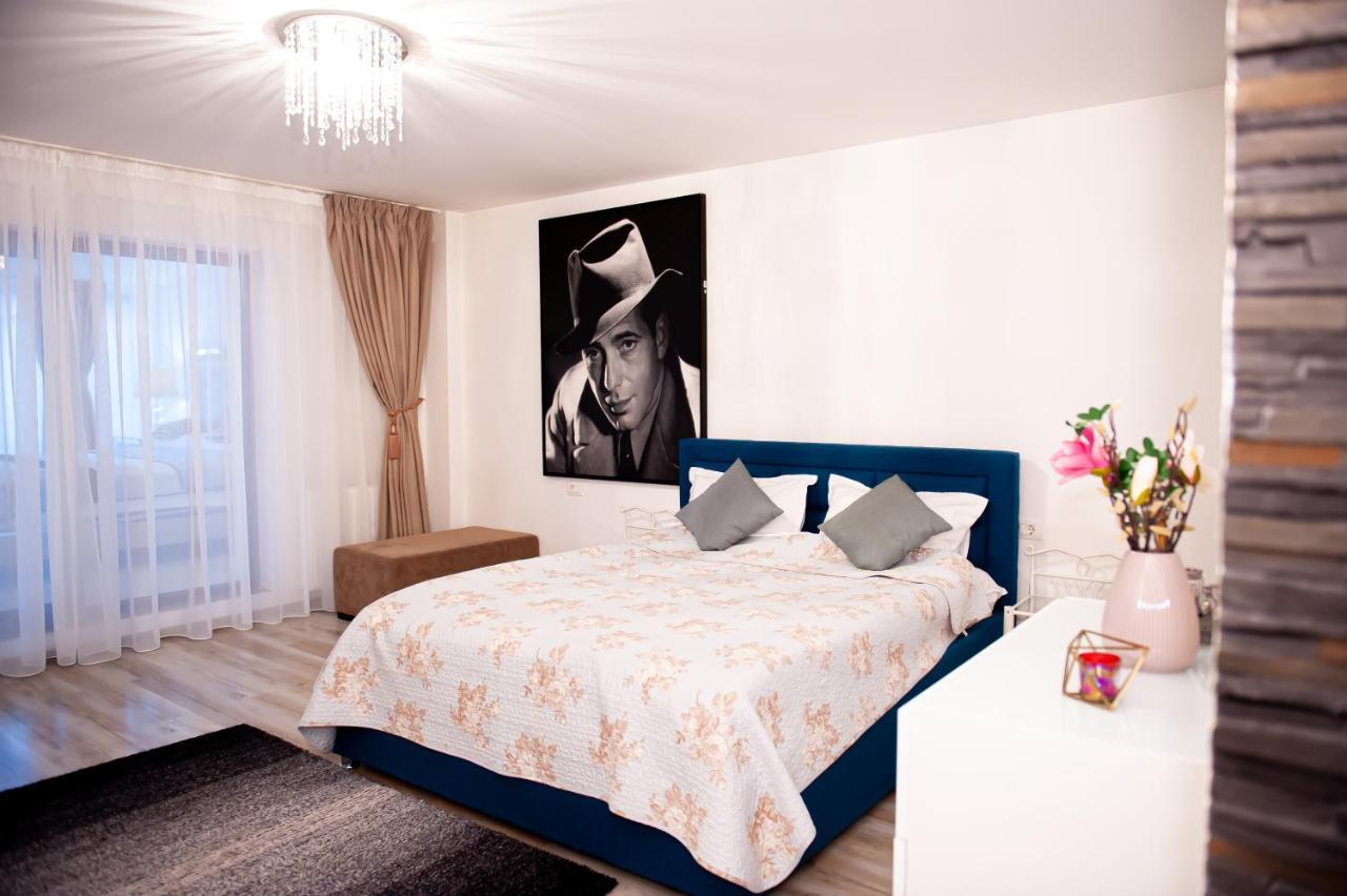 Kai Mountain Luxury Apartment Braşov Buitenkant foto